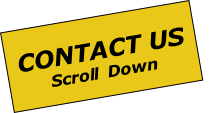 CONTACT US
Scroll  Down
